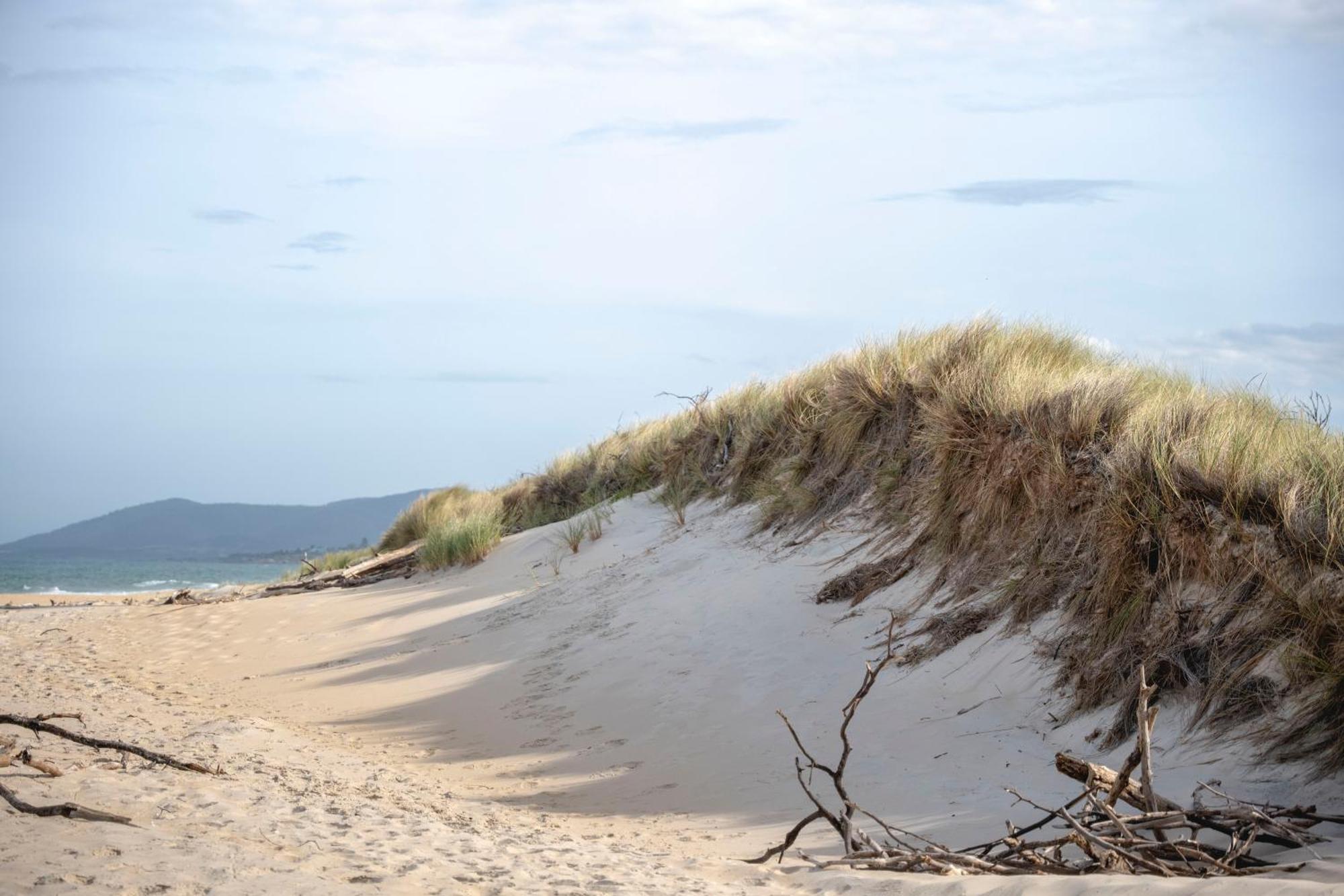 Blue Seas Holiday Villas Scamander Zewnętrze zdjęcie
