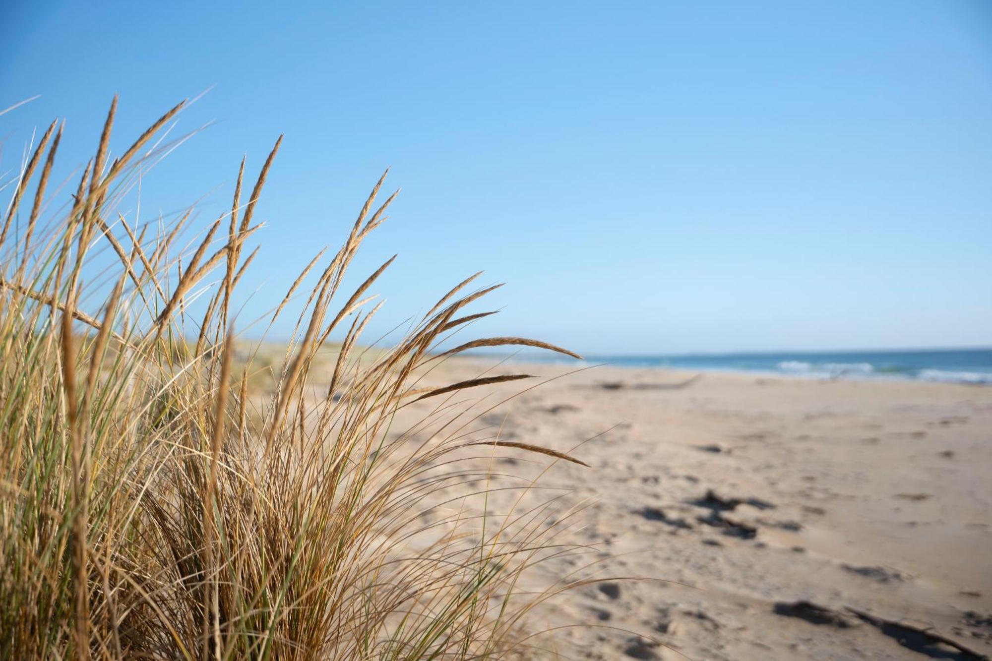 Blue Seas Holiday Villas Scamander Zewnętrze zdjęcie