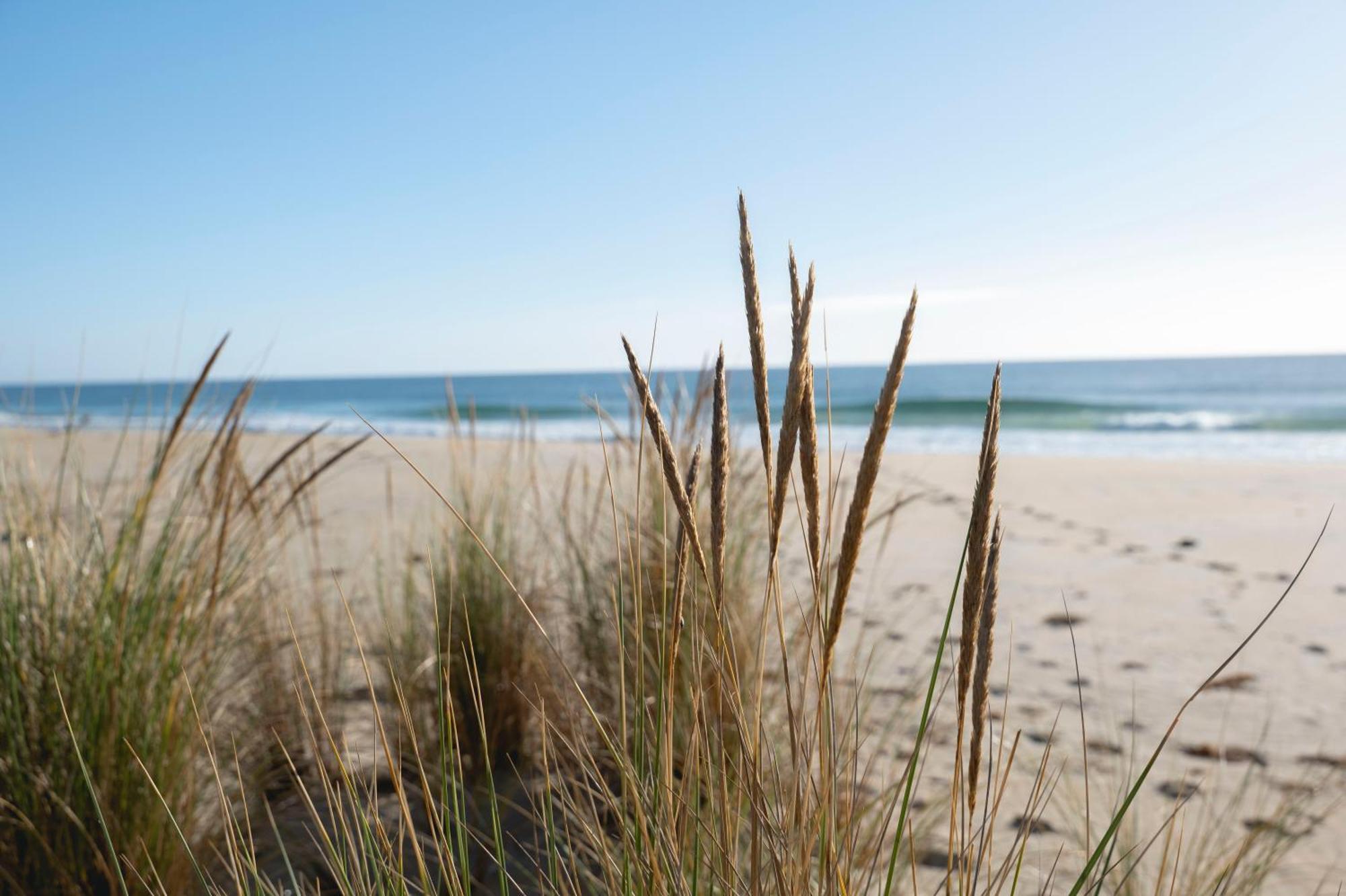 Blue Seas Holiday Villas Scamander Zewnętrze zdjęcie